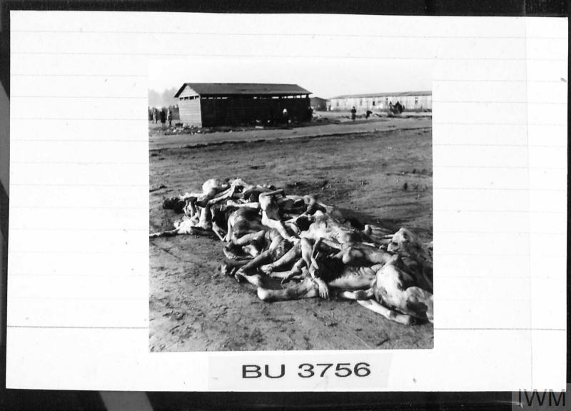 Photographie · Liberation of Bergen-Belsen · 15 avril 1945 · IWM BU 3756