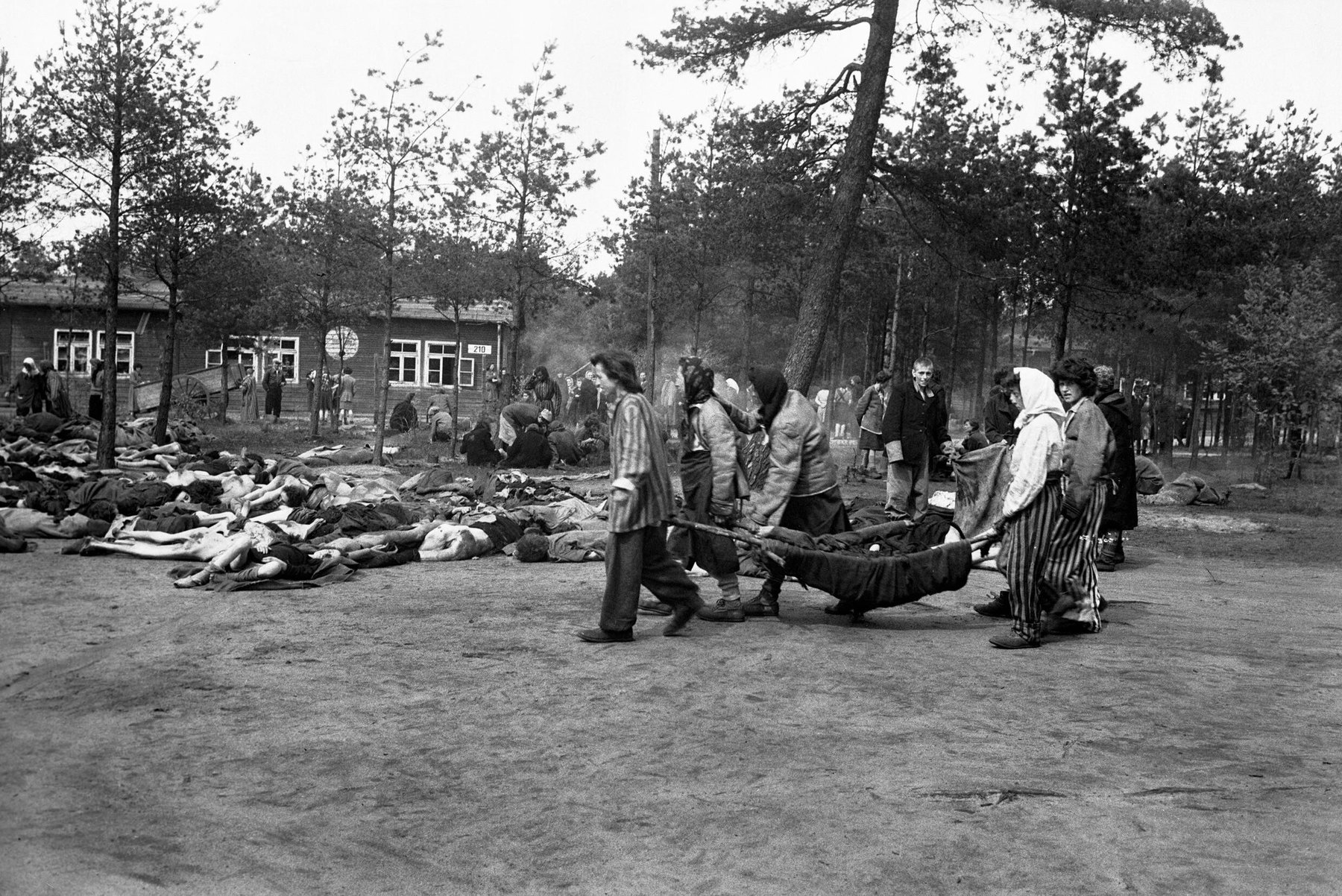Photographie · Bergen-Belsen après la libération · Avril 1945 · USHMM